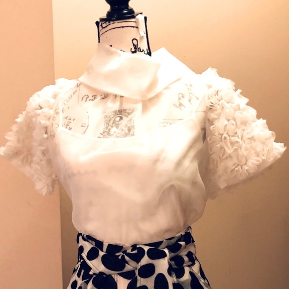 SOLD SOLD SOLD $595 NWT St. John Couture Raw Silk Semi Sheer Top - Picture 8 of 10